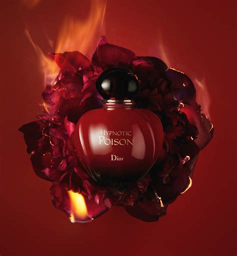 profumo simile a hypnotic dior|Dior Hypnotic Poison: Timeless, Intricate Simplicity.